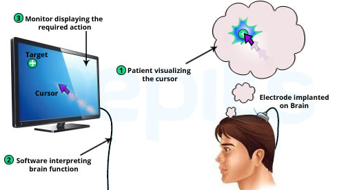 Brain Controlling Monitor Cursor