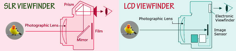 Difference Between DSLR & Digital Cameras