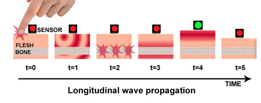  longitudinal wave propagation