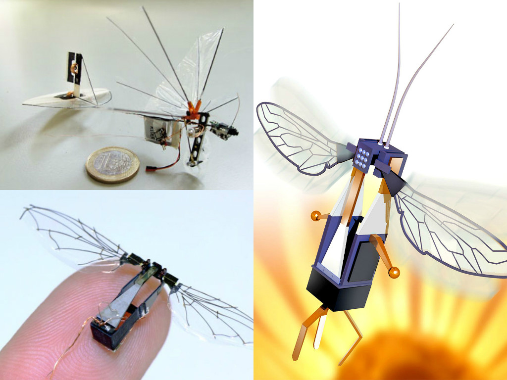 RoboBee