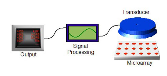 Working of Biochip