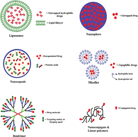 Nanoparticles Injected With Drugs