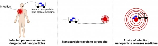 Targeted Drug Delivery on Humans