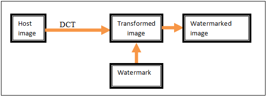 embedding watermark