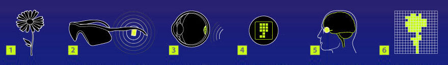 Block Diagram of Bionic Eye