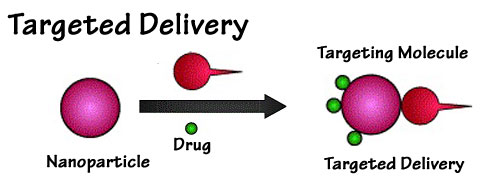 Targeted Drug Delivery