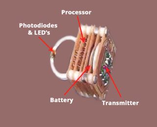 Ring Sensor