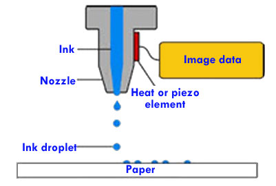 Piezoelectric Inkjet Printer