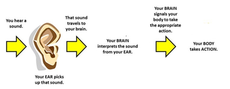 psychoacoustics